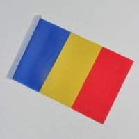 STEAG TRICOLOR CU STEMA 140X90CM ARTIZANAT / ARTIZANAT...